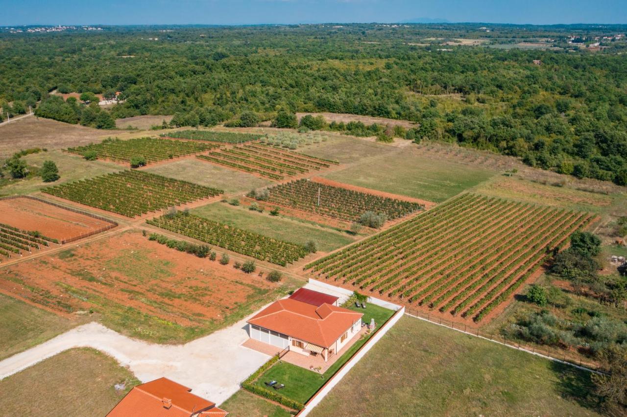 Villa Gracia Sveti Lovreč Pazenatički Exteriér fotografie
